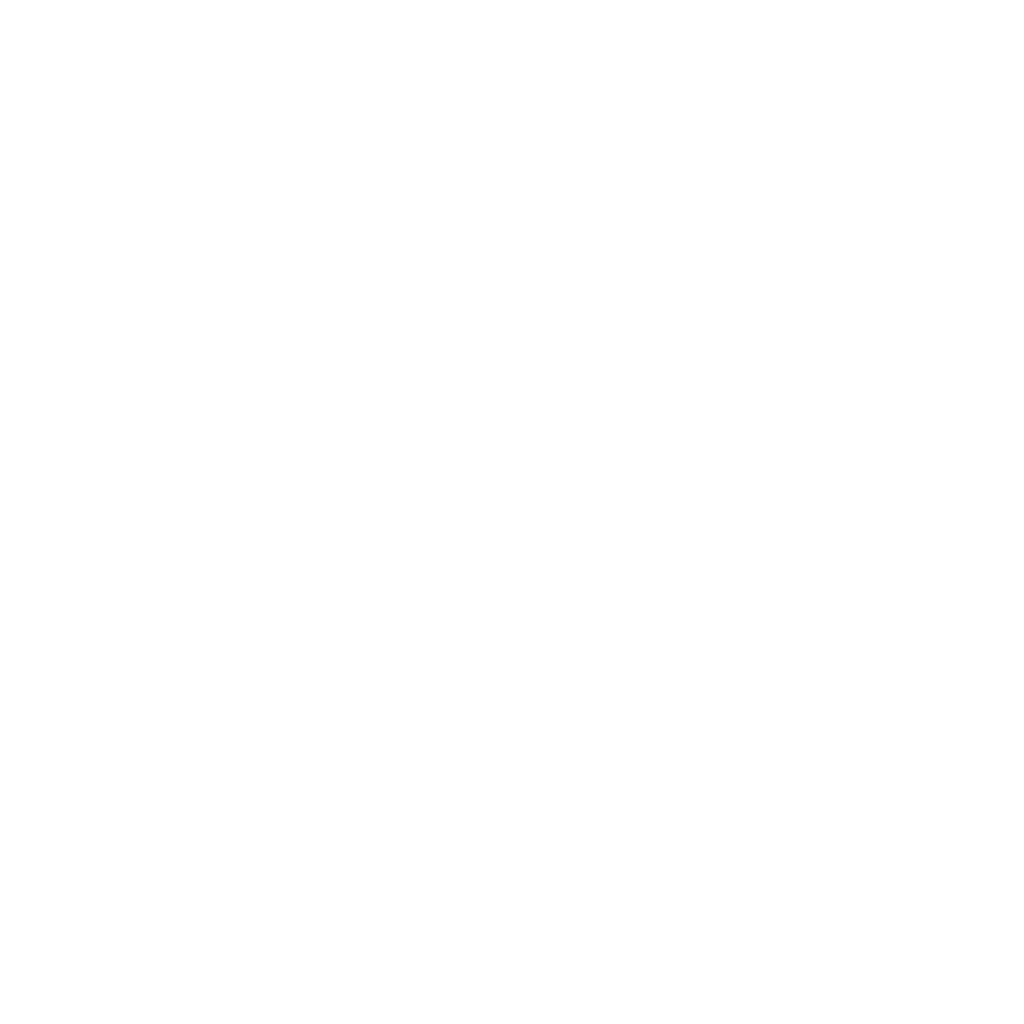 AOL Network Logo White-01